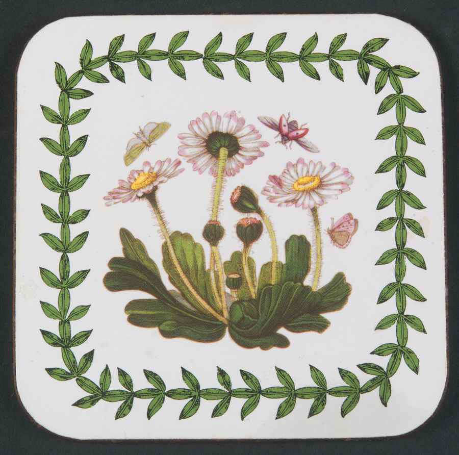 Botanic Garden Square Corkback Coaster by Portmeirion-1
