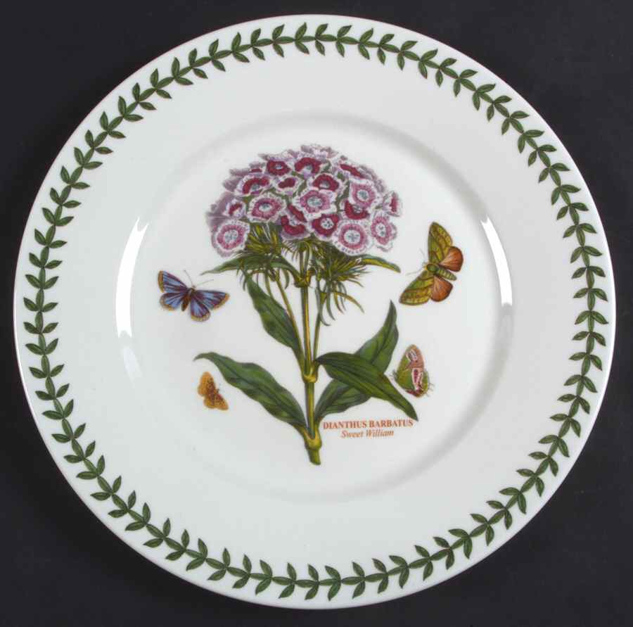 Botanic Garden Flat Dinner Plate with Large Rim by Portmeirion-1