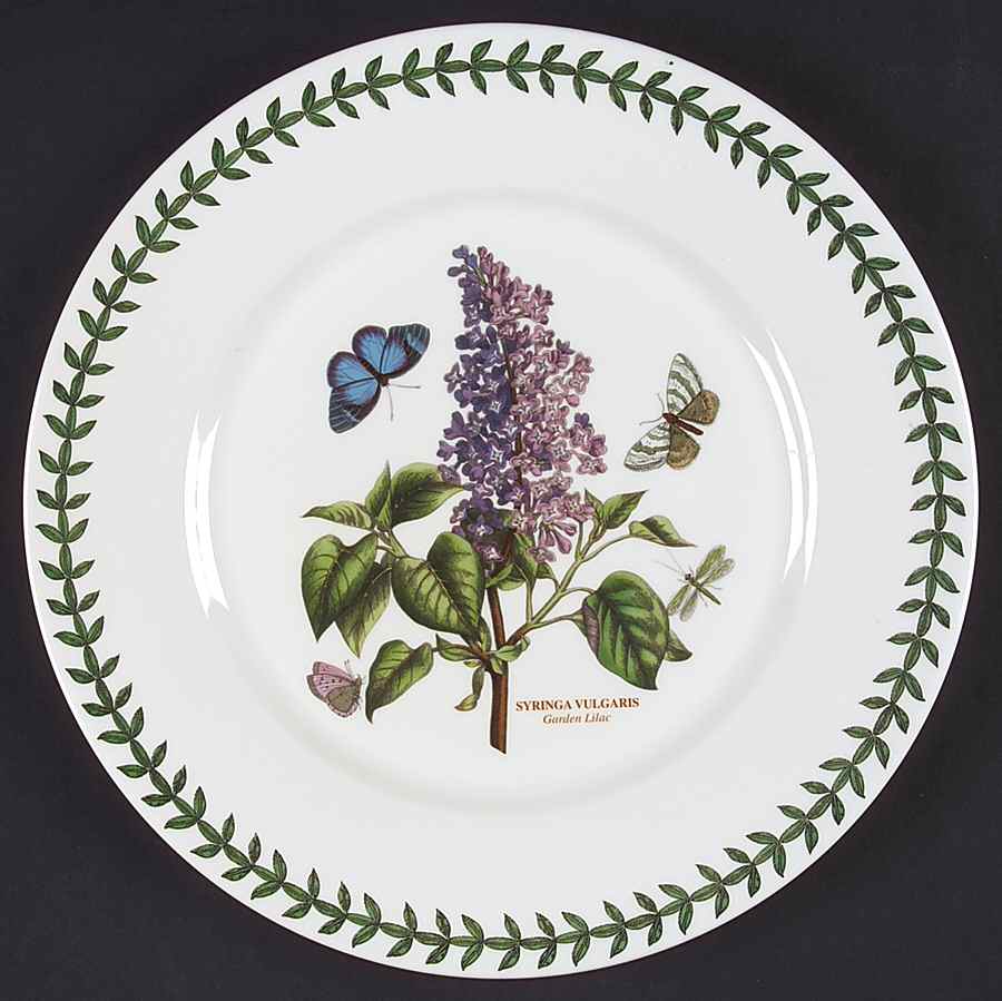 Botanic Garden Flat Dinner Plate with Large Rim by Portmeirion-1