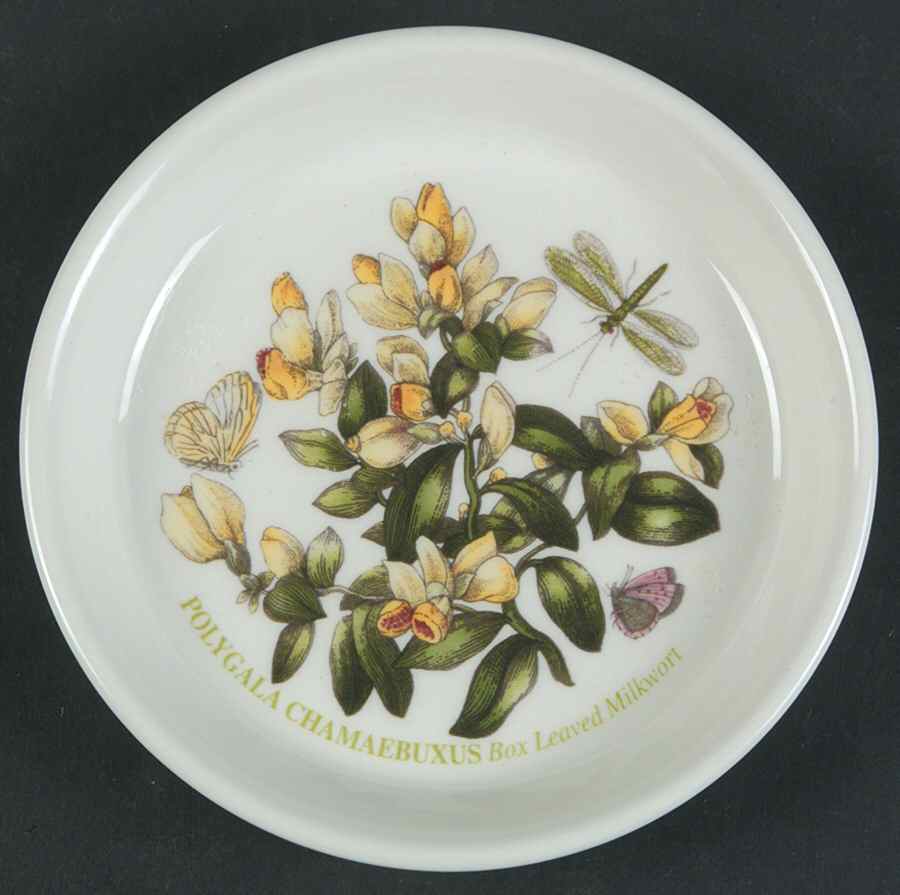 Botanic Garden Coaster by Portmeirion-1