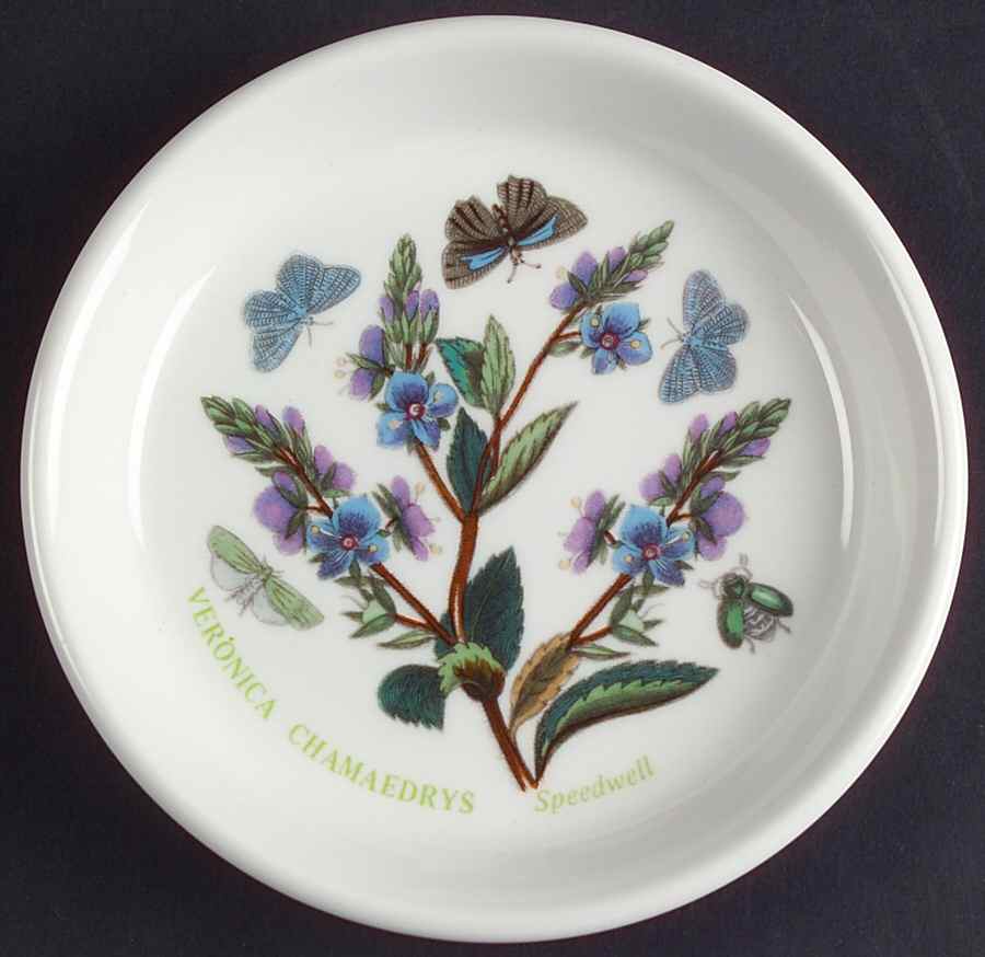 Botanic Garden Coaster by Portmeirion-1