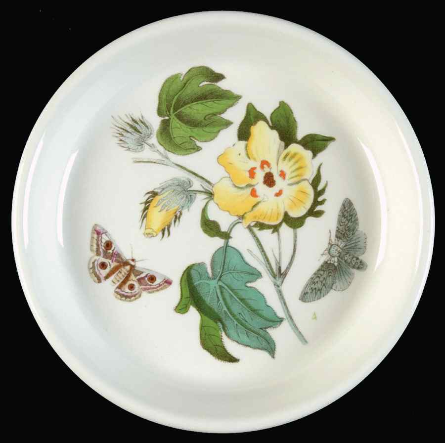 Botanic Garden Coaster by Portmeirion-1