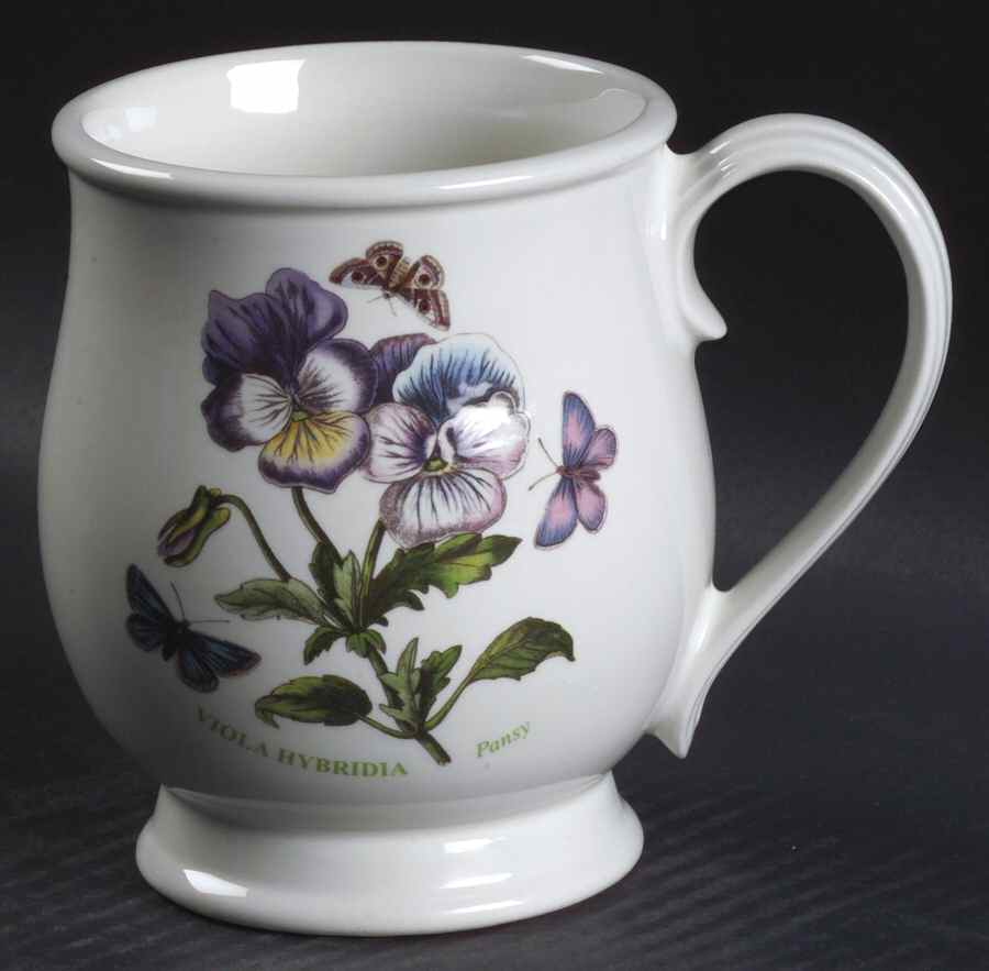 Botanic Garden Bristol Mug by Portmeirion-1
