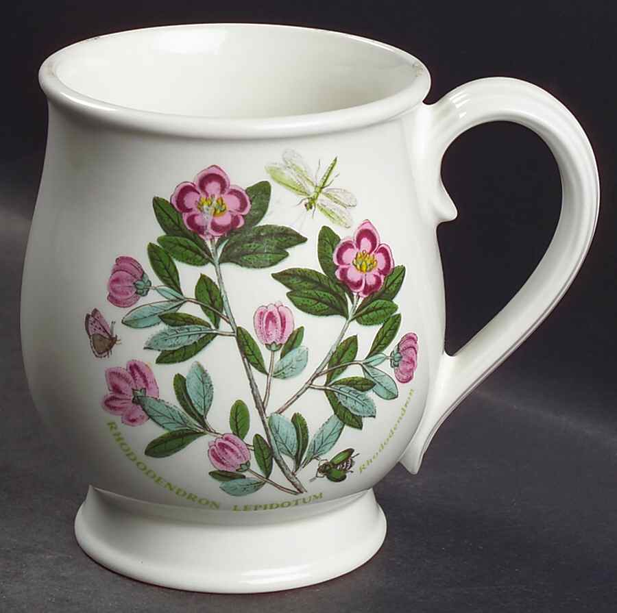 Botanic Garden Bristol Mug by Portmeirion-1
