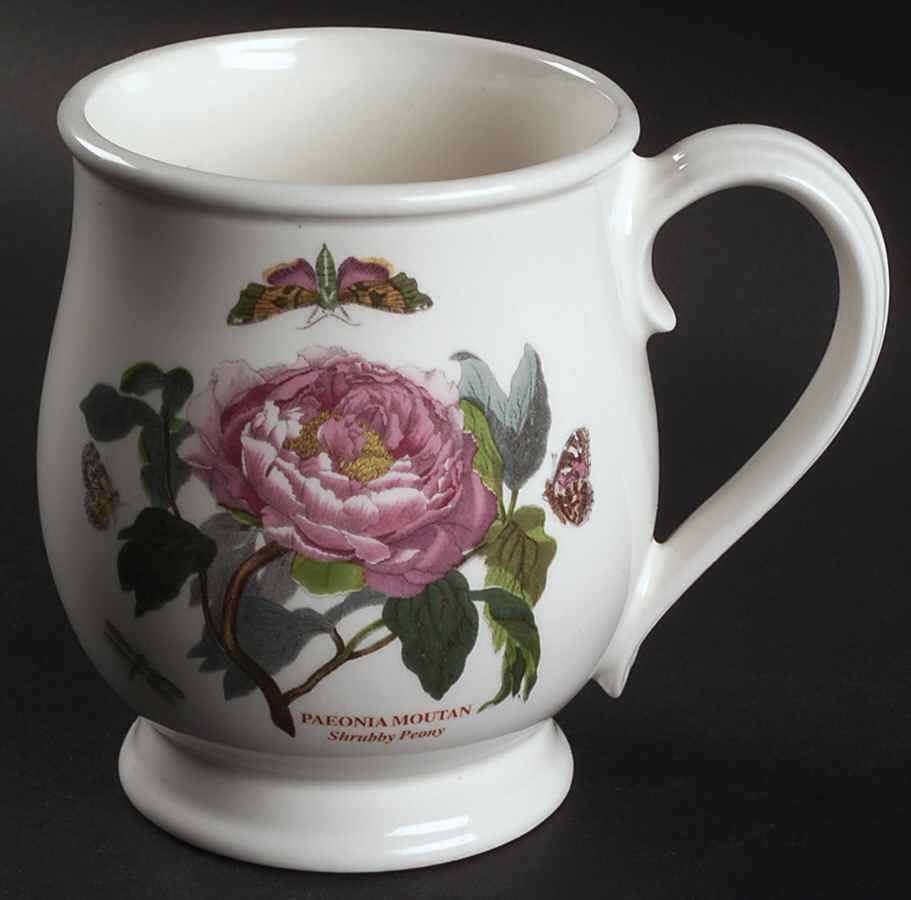 Botanic Garden Bristol Mug by Portmeirion-1