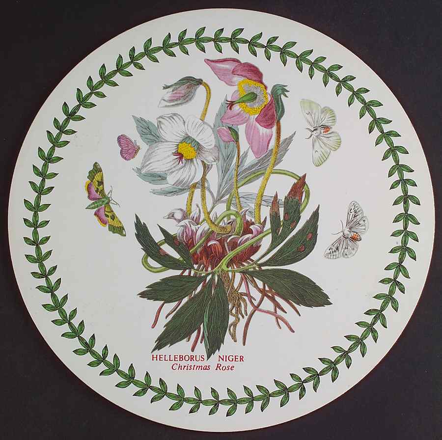 Botanic Garden Round Placemat with Cork Back by Portmeirion-1