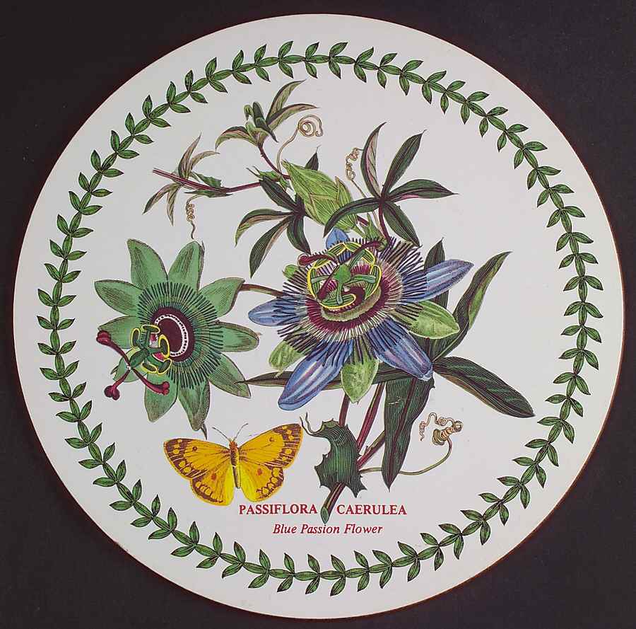 Botanic Garden Round Placemat with Cork Back by Portmeirion-1