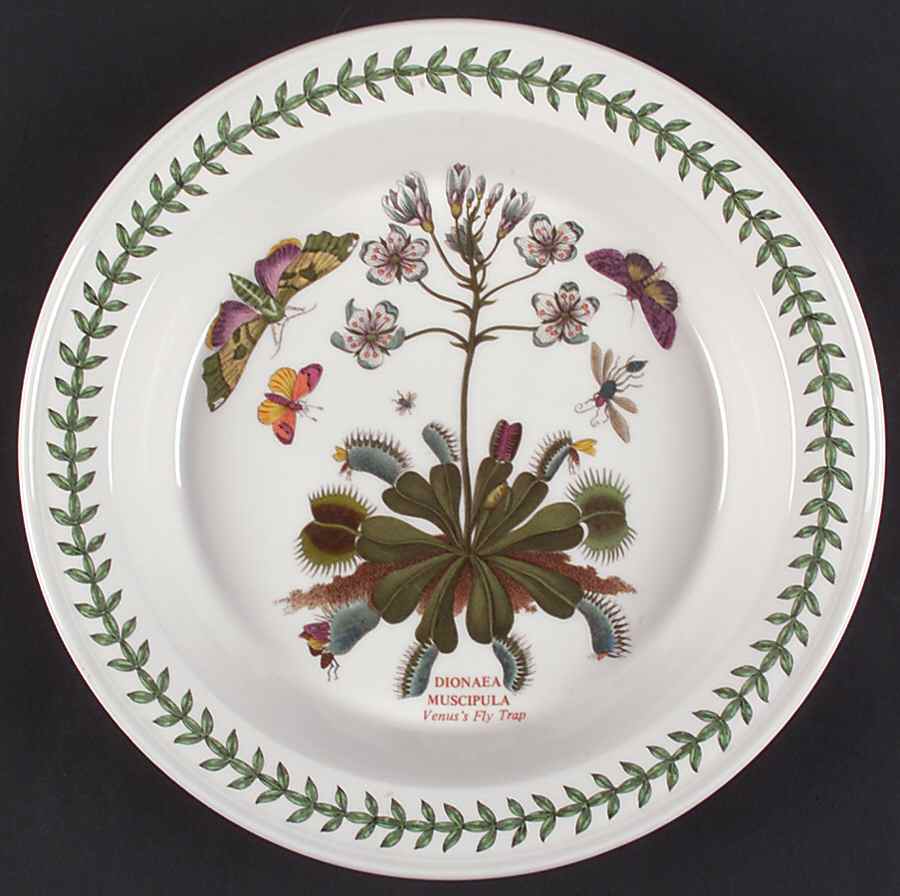 Botanic Garden Round Oven-To-Table Pie Plate by Portmeirion-1