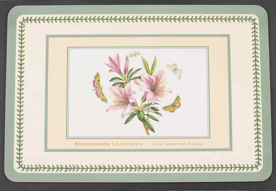 Botanic Garden 17" Large Corkboard Placemat W/Green Border by Portmeirion-1