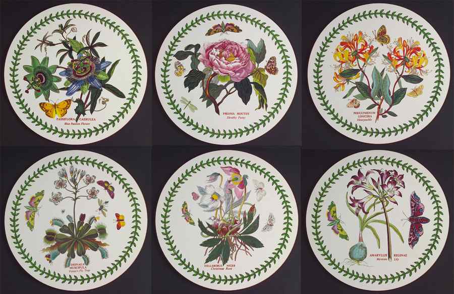 Botanic Garden Set of 6 Round Corkback Placemat by Portmeirion-1