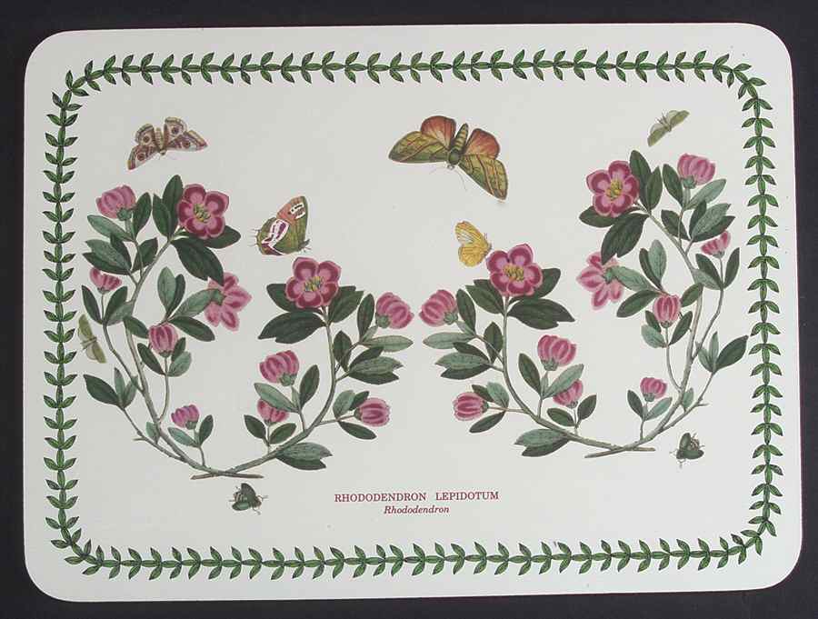 Botanic Garden Small Corkboard Placemat by Portmeirion-1