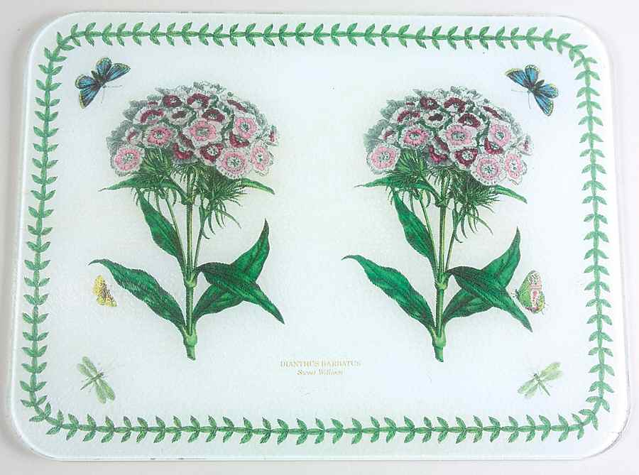 Botanic Garden Placemat-Corkboard by Portmeirion-1