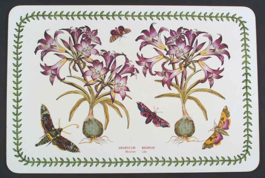 Botanic Garden 17" Large Corkboard Placemat by Portmeirion-1