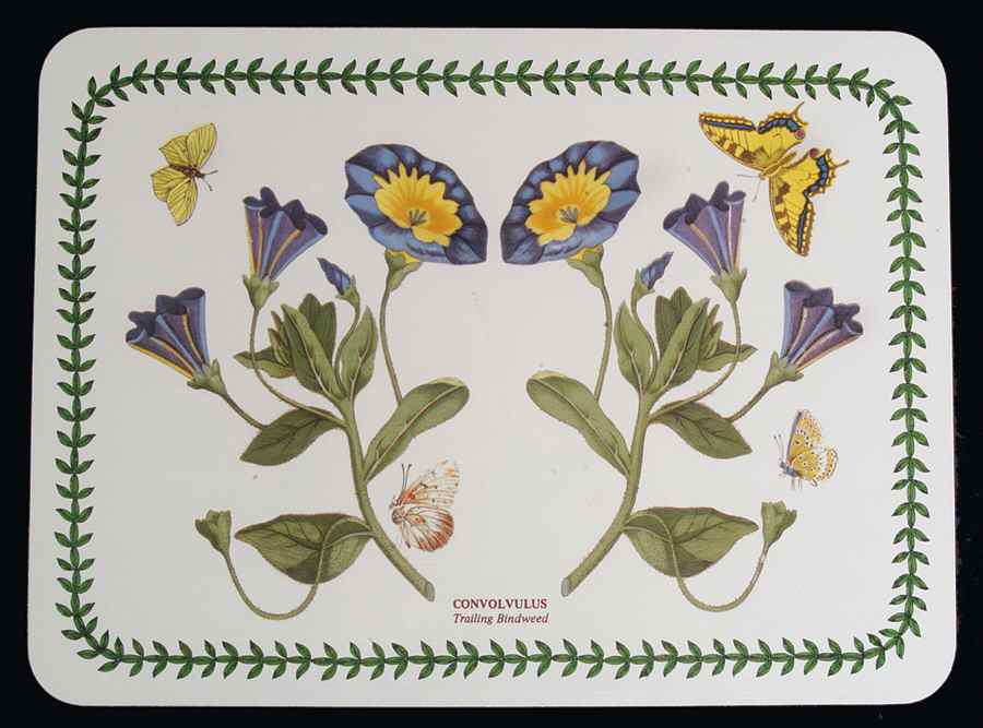 Botanic Garden Small Corkboard Placemat by Portmeirion-1