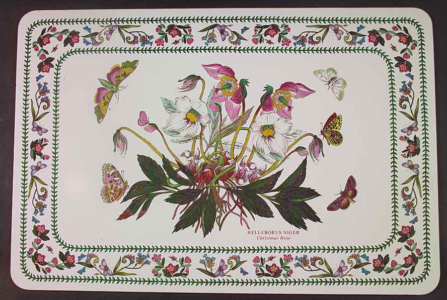 Variations 17" Large Corkboard Placemat by Portmeirion-1