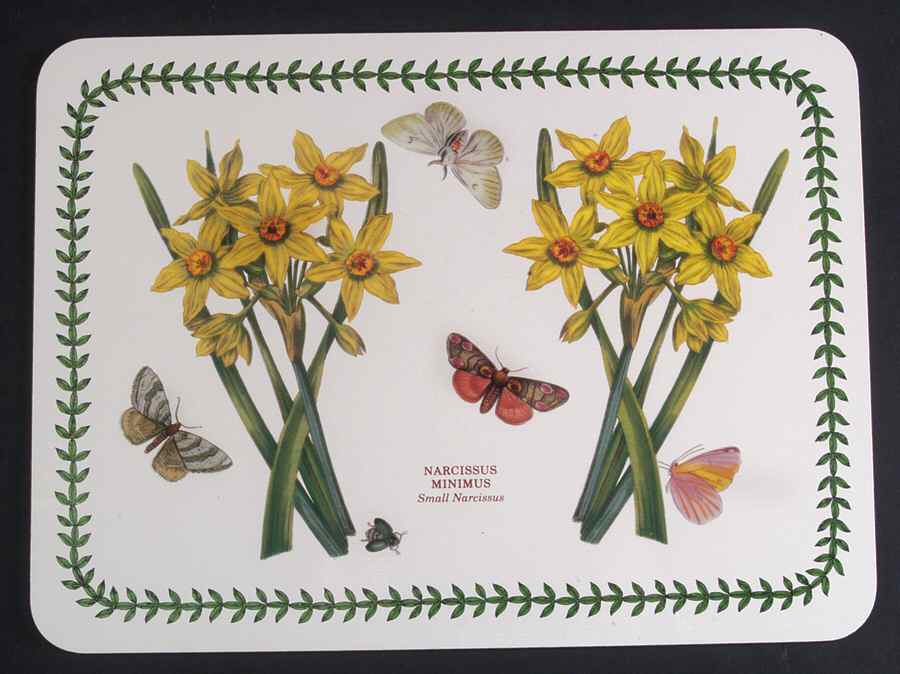 Botanic Garden Small Corkboard Placemat by Portmeirion-1