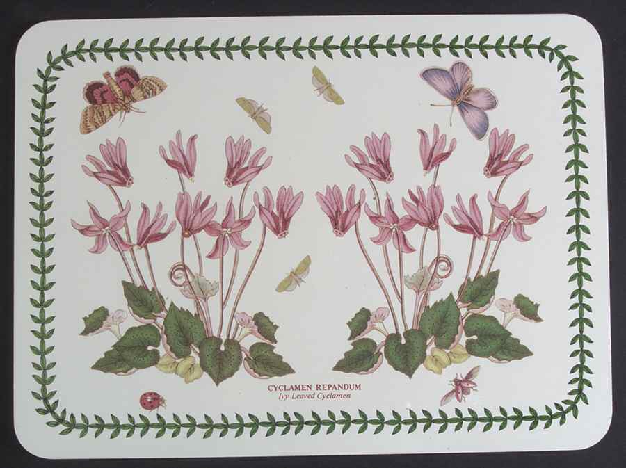 Botanic Garden Small Corkboard Placemat by Portmeirion-1