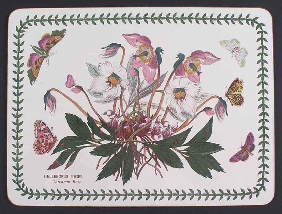 Botanic Garden Corkboard Placemat by Portmeirion-1