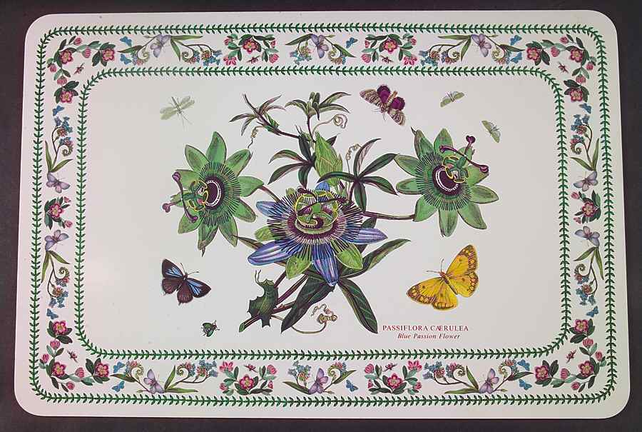 Variations 17" Large Corkboard Placemat by Portmeirion-1