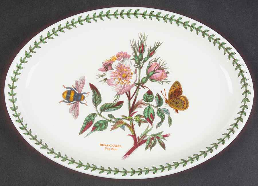 Botanic Garden 10" Oval Steak Platter by Portmeirion-1