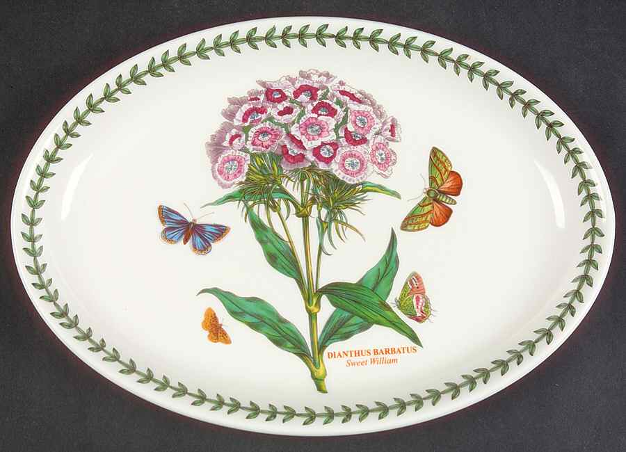 Botanic Garden 10" Oval Steak Platter by Portmeirion-1