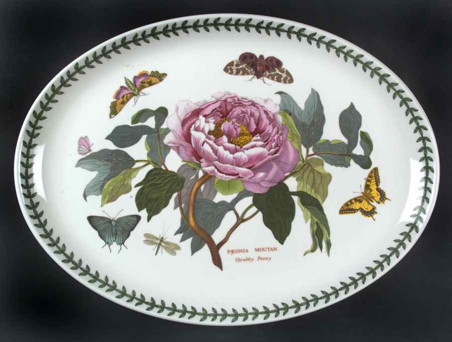 Botanic Garden 14" Oval Steak Platter by Portmeirion-1