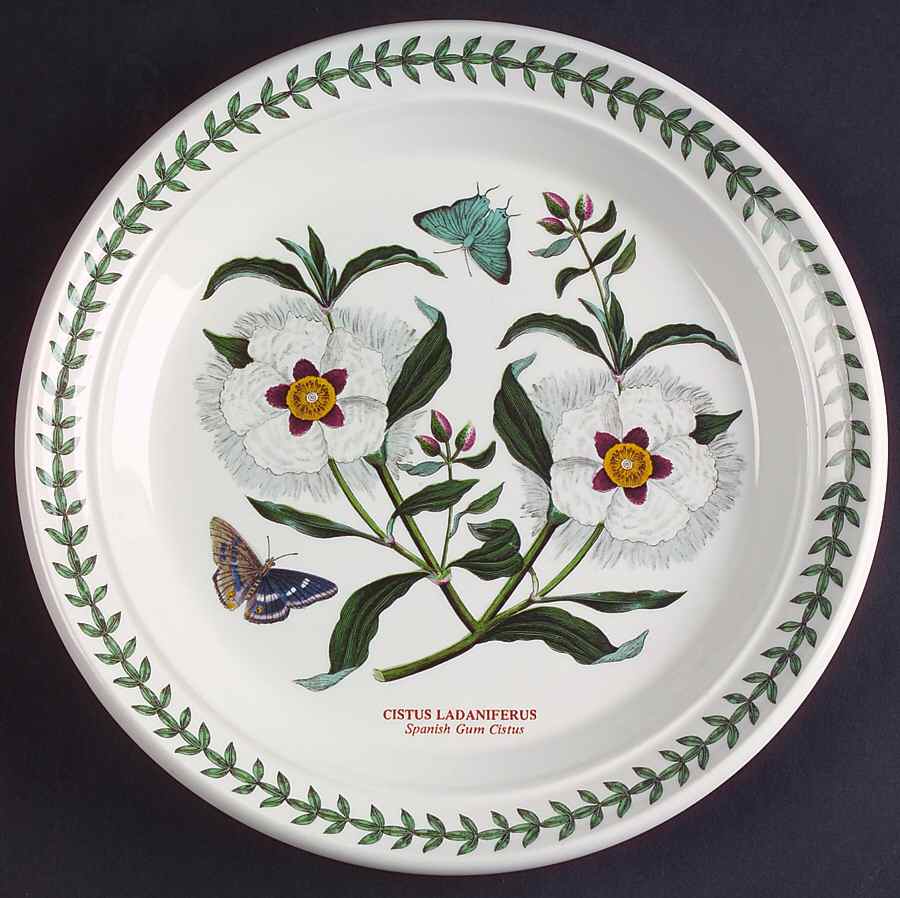 Botanic Garden Salad Plate by Portmeirion-1
