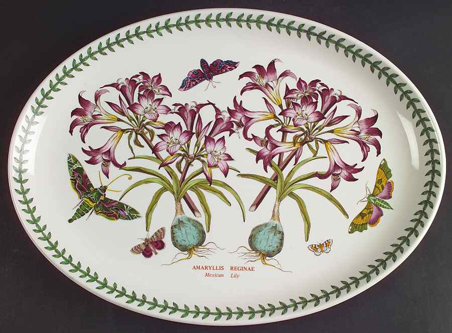 Botanic Garden 14" Oval Steak Platter by Portmeirion-1