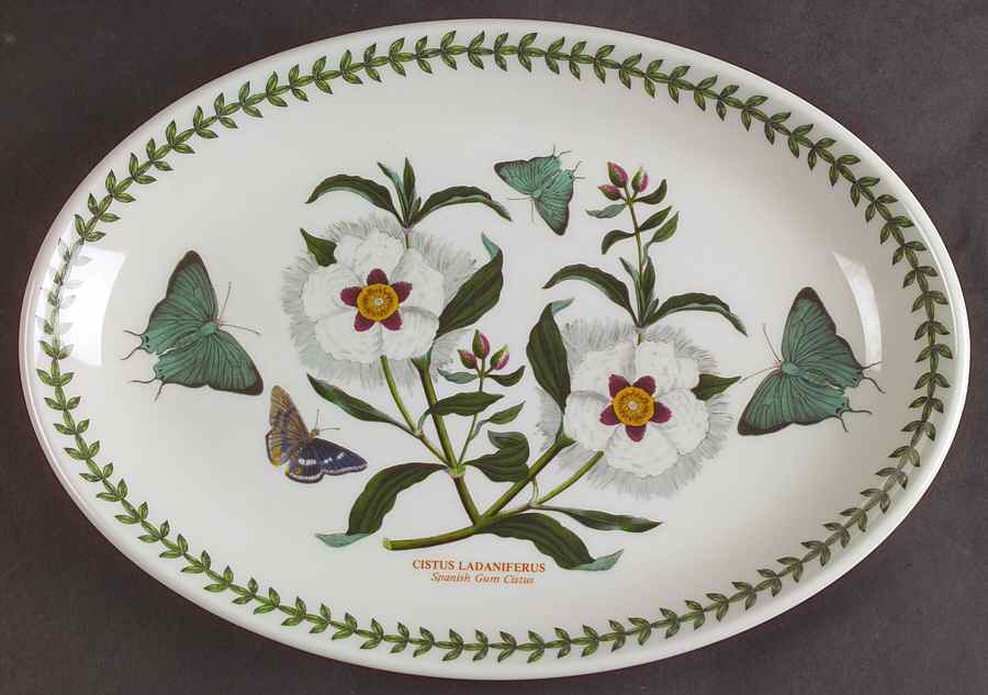 Botanic Garden 10" Oval Steak Platter by Portmeirion-1