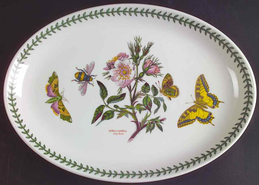 Botanic Garden 13" Oval Steak Platter by Portmeirion-1