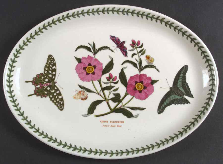 Botanic Garden 13" Oval Steak Platter by Portmeirion-1