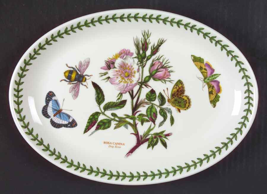 Botanic Garden 10" Oval Steak Platter by Portmeirion-1