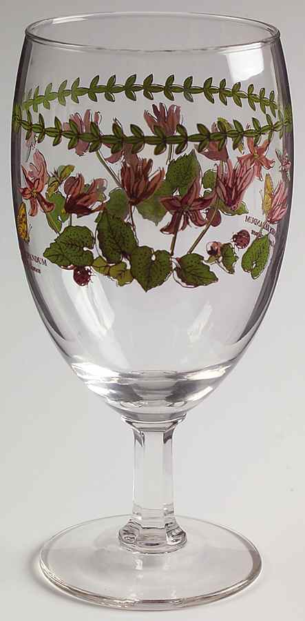 Botanic Garden 12 Oz Glassware Iced Tea by Portmeirion-1