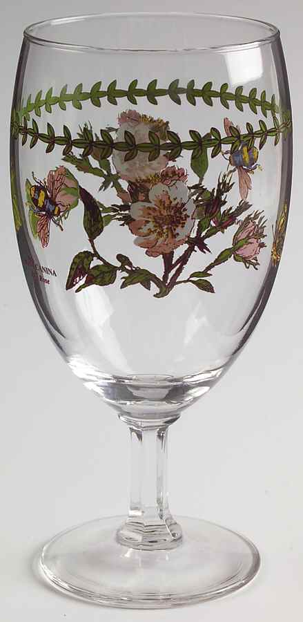 Botanic Garden 12 Oz Glassware Iced Tea by Portmeirion-1