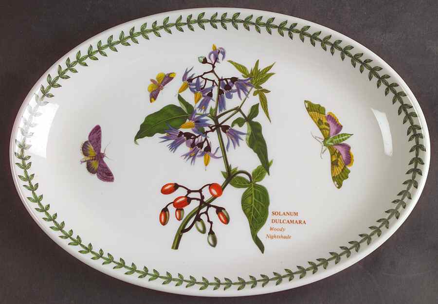 Botanic Garden 10" Oval Steak Platter by Portmeirion-1