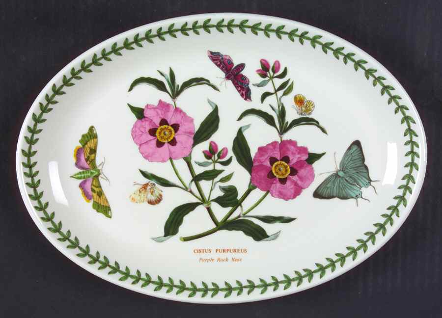 Botanic Garden 10" Oval Steak Platter by Portmeirion-1