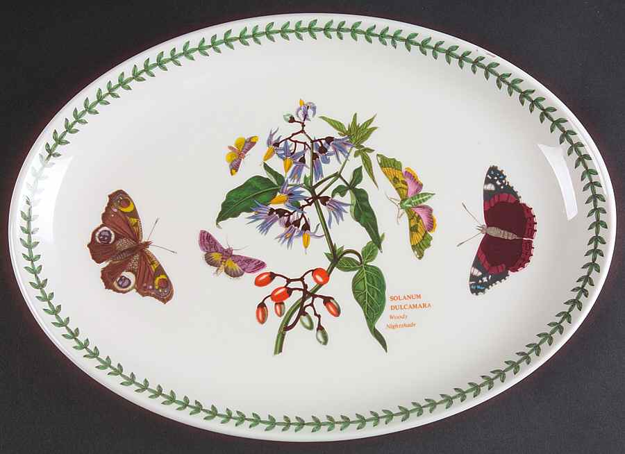 Botanic Garden 13" Oval Steak Platter by Portmeirion-1