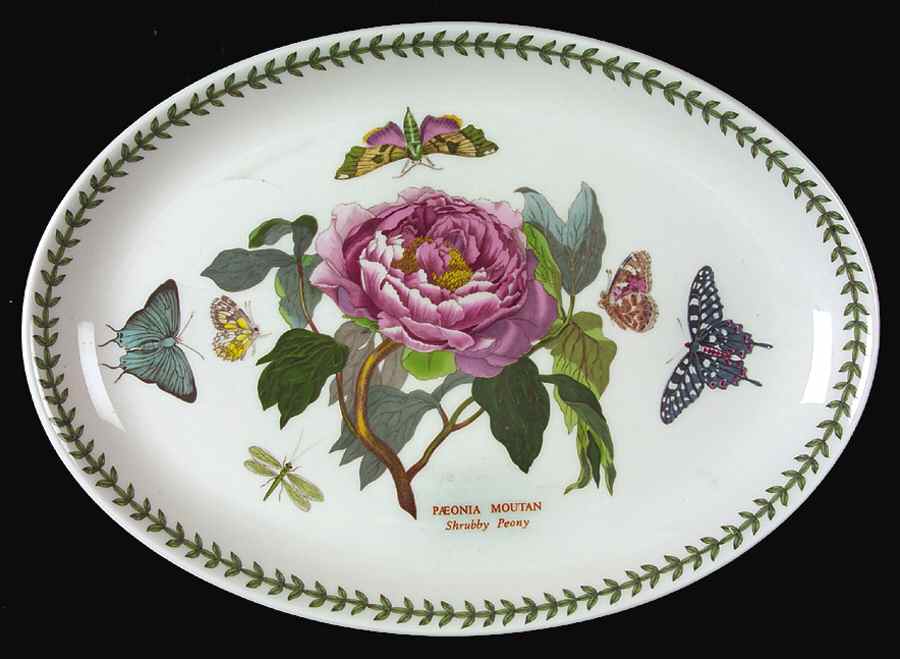 Botanic Garden 13" Oval Steak Platter by Portmeirion-1