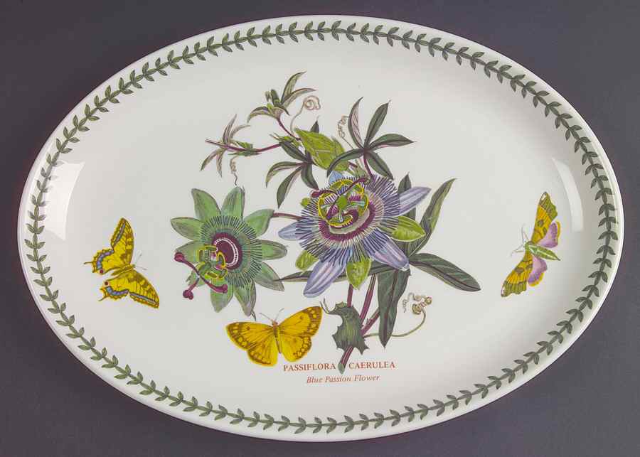 Botanic Garden 13" Oval Steak Platter by Portmeirion-1