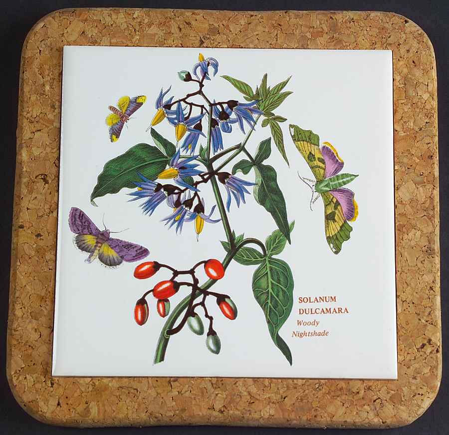 Botanic Garden 7" Square Cork Back Trivet by Portmeirion-1