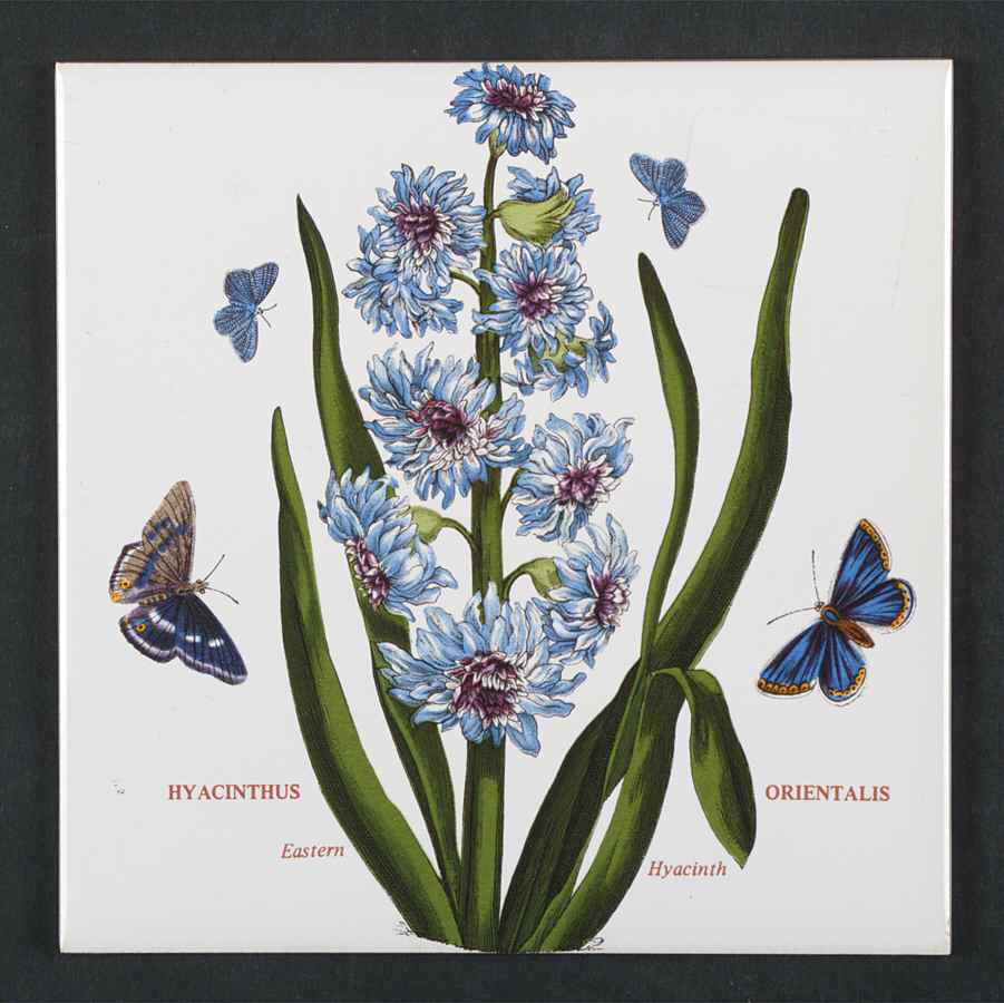 Botanic Garden 6" Wall Tile Aka Tile Insert by Portmeirion-1