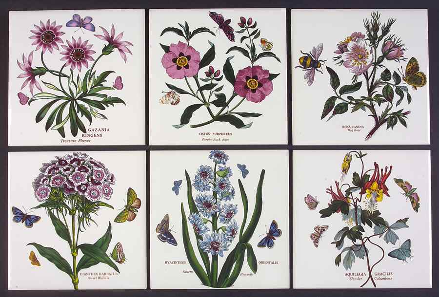 Botanic Garden (Set of 6) 6" Wall Tile Aka Tile Insert by Portmeirion-1