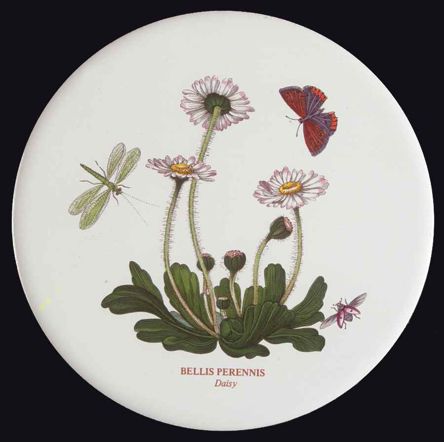 Botanic Garden 6" Round Trivet by Portmeirion-1
