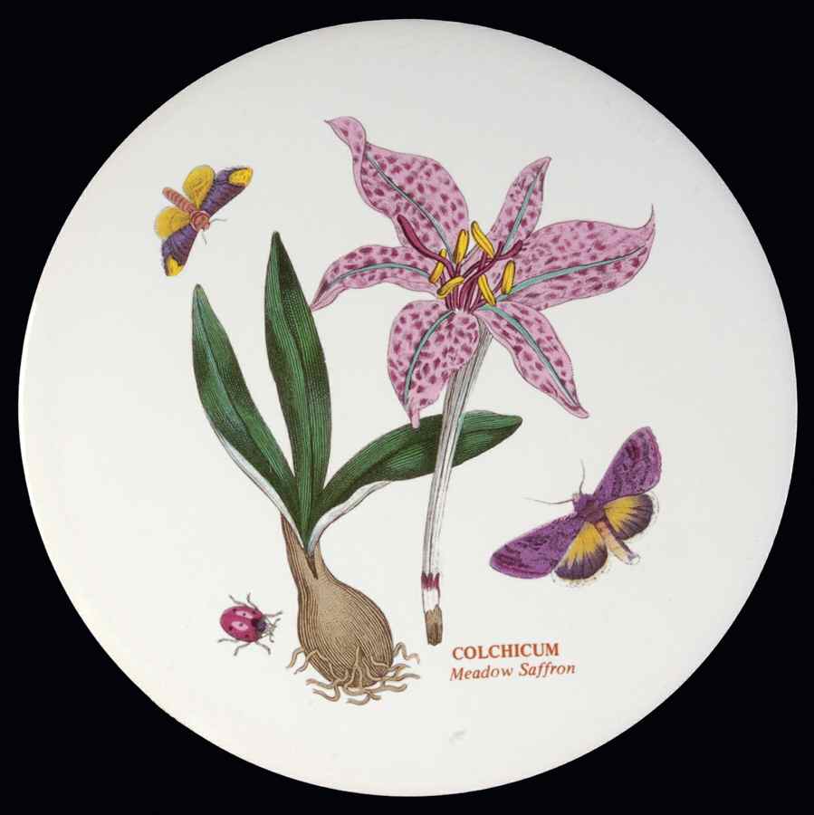 Botanic Garden 6" Round Trivet by Portmeirion-1