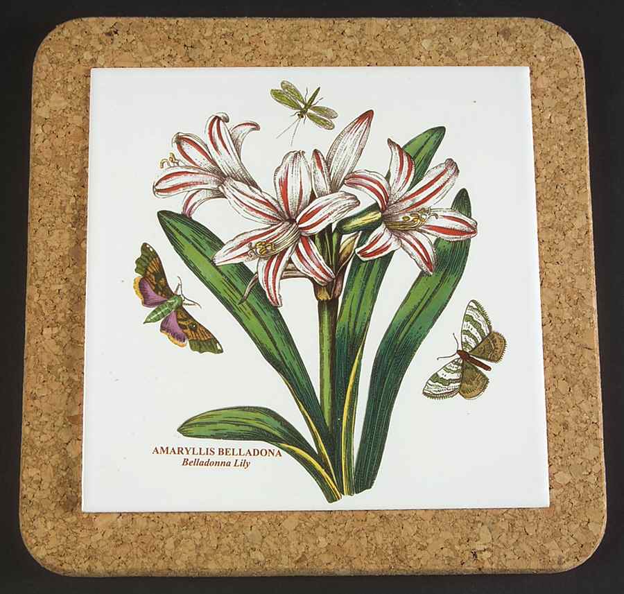 Botanic Garden 7" Square Cork Back Trivet by Portmeirion-1