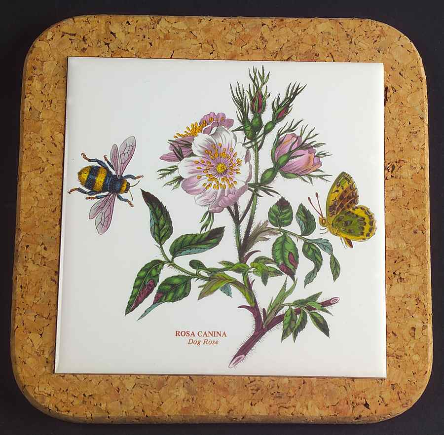 Botanic Garden 7" Square Cork Back Trivet by Portmeirion-1