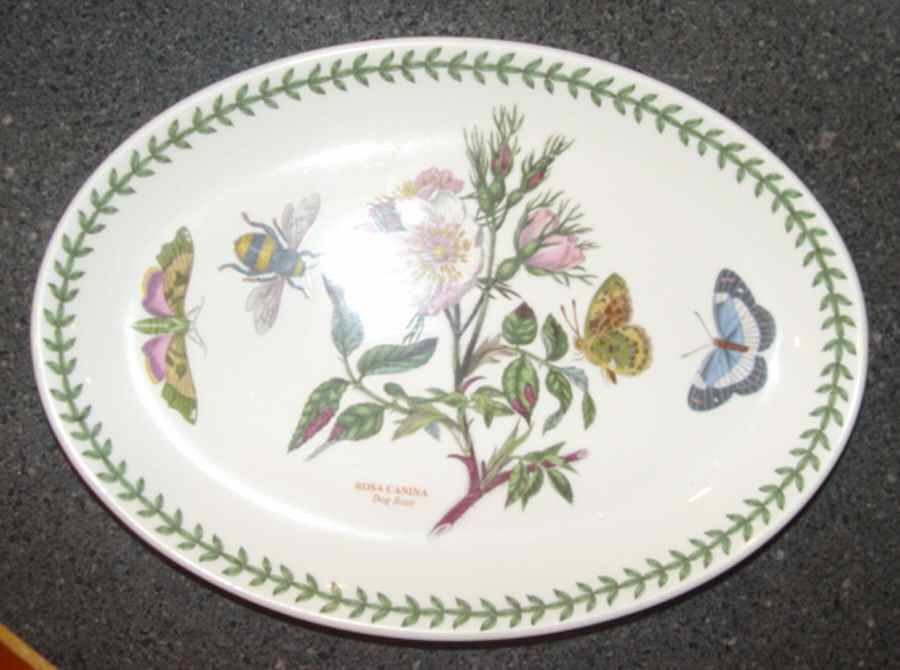 Botanic Garden 10" Oval Steak Platter by Portmeirion-1