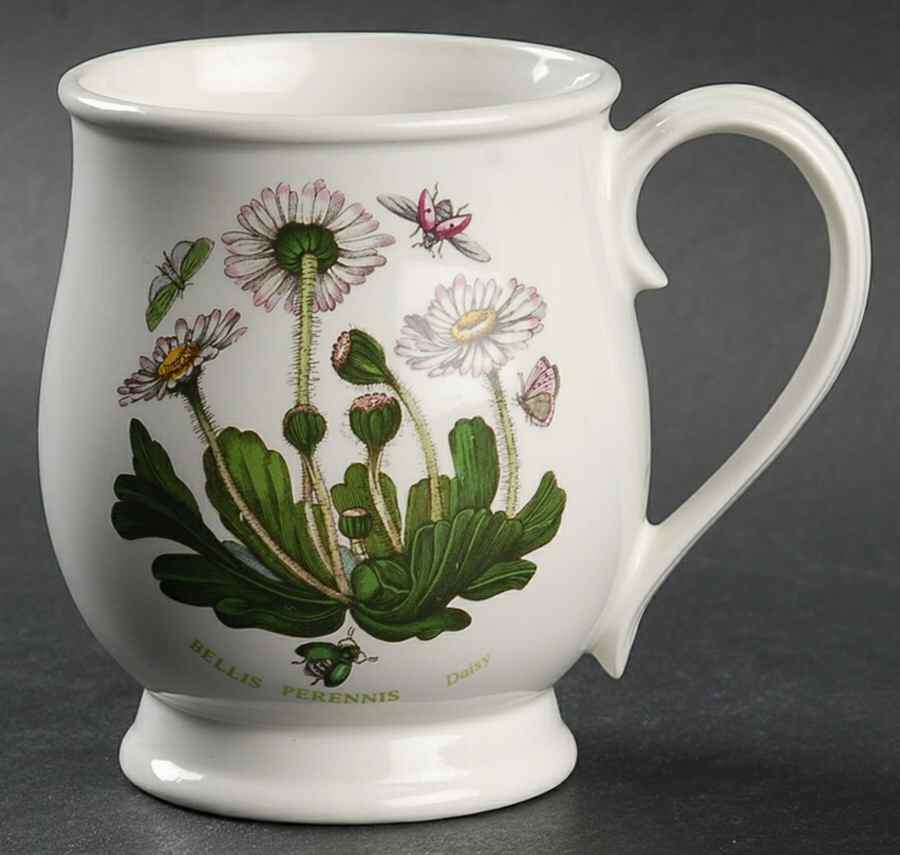 Botanic Garden Bristol Mug by Portmeirion-1