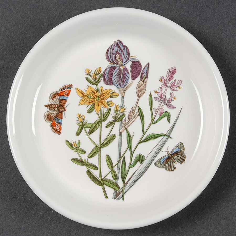 Botanic Garden Coaster by Portmeirion-1