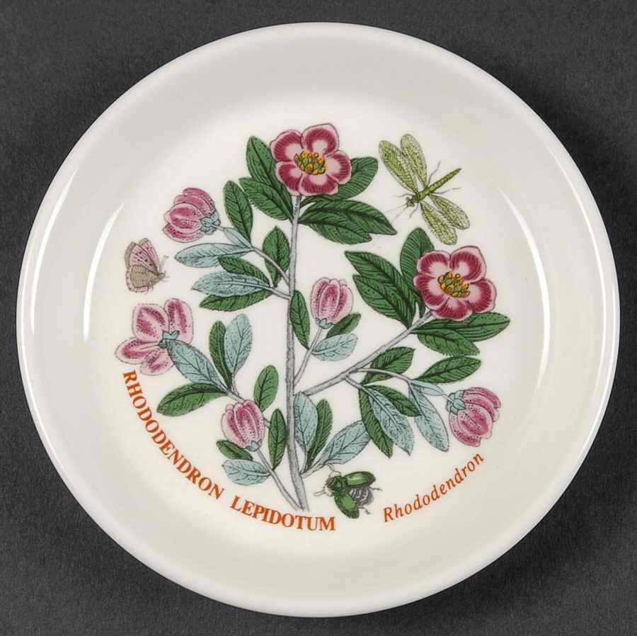 Botanic Garden Coaster by Portmeirion-1
